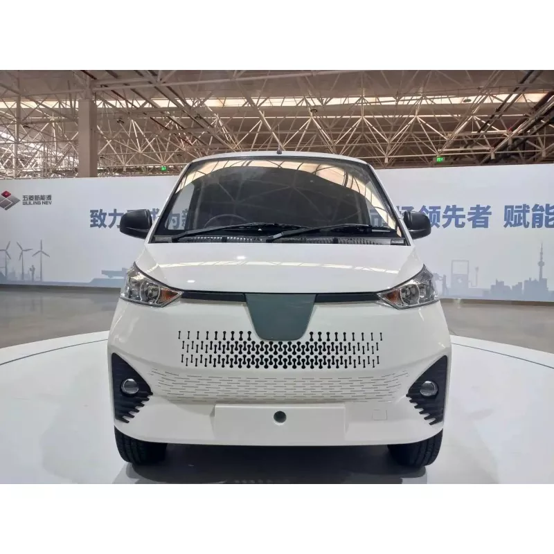Menene Electric Mini Van?