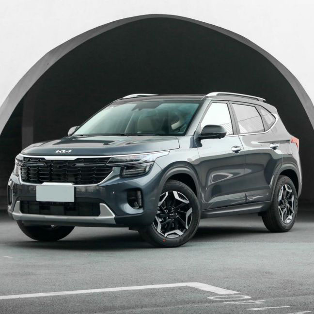 Kia Seltos 2023 Feetur SUV