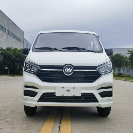 Minivan lantarki M80L